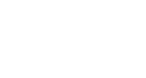 light logo