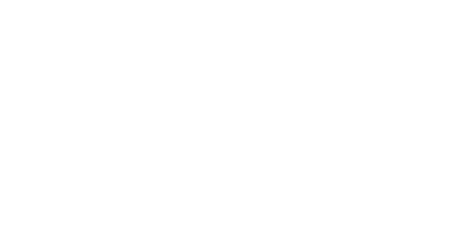 light logo