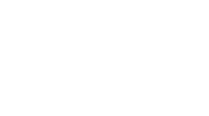 light logo
