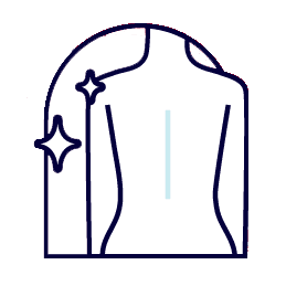 spine